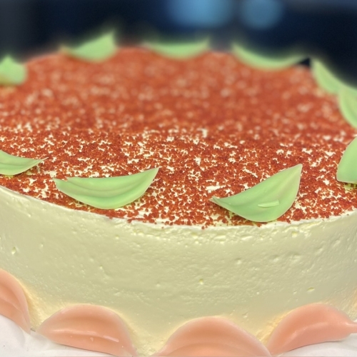 Redvelvet nguyên ổ