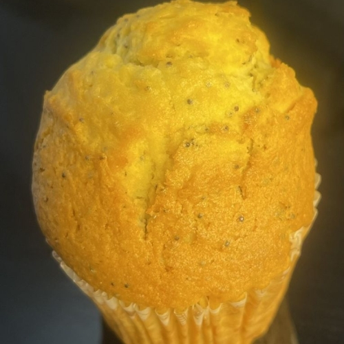 Muffin Orange
